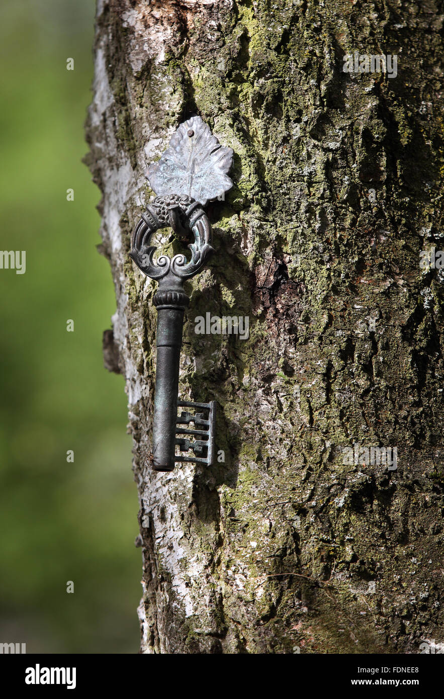 Berlín, Alemania, antiguas llaves cuelga de un tronco de árbol Foto de stock