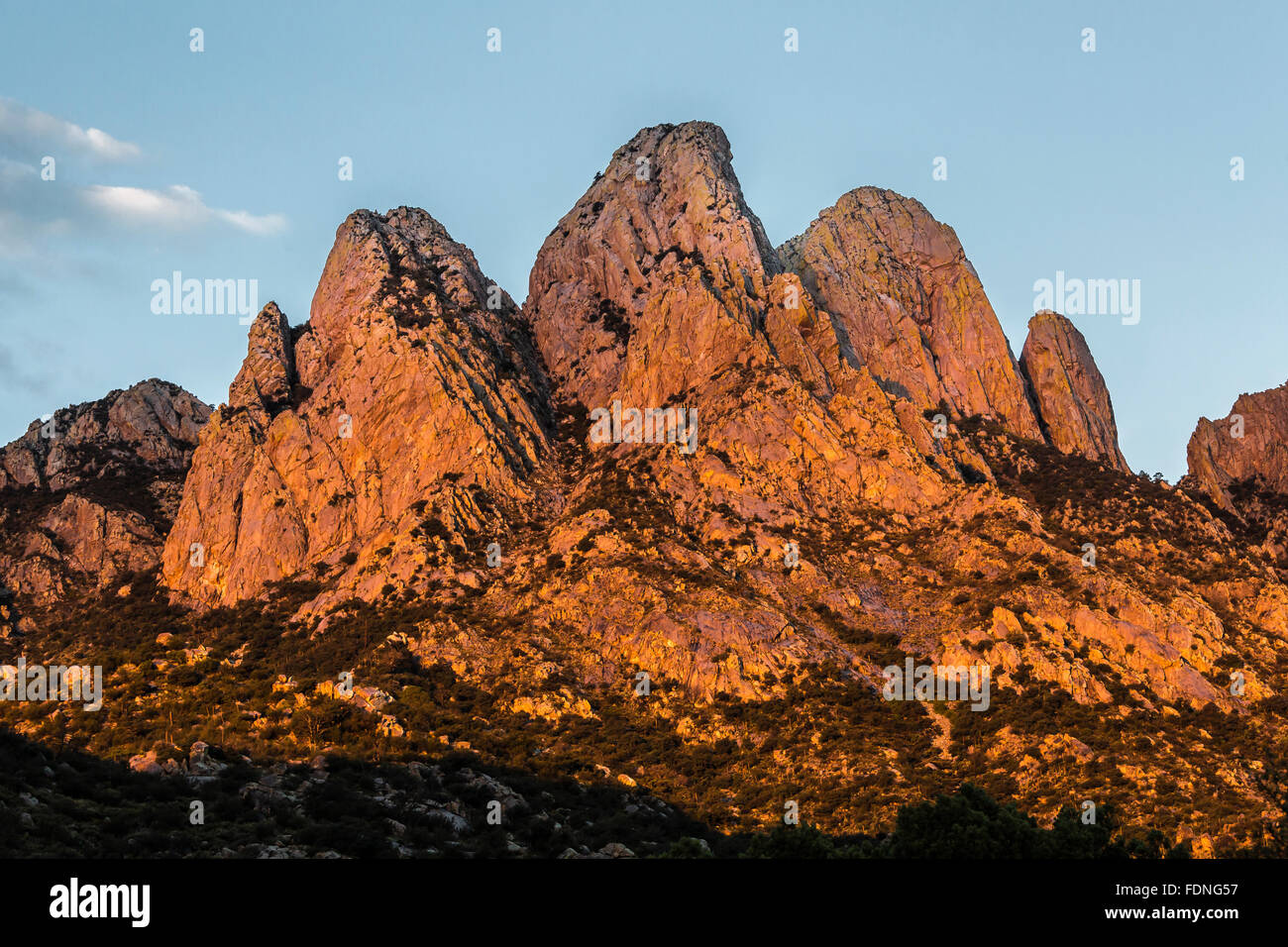 Orejas de conejo en la luz de la mañana vistos en órgano de picos de las montañas del desierto Monumento Nacional, Nuevo México, EE.UU. Foto de stock