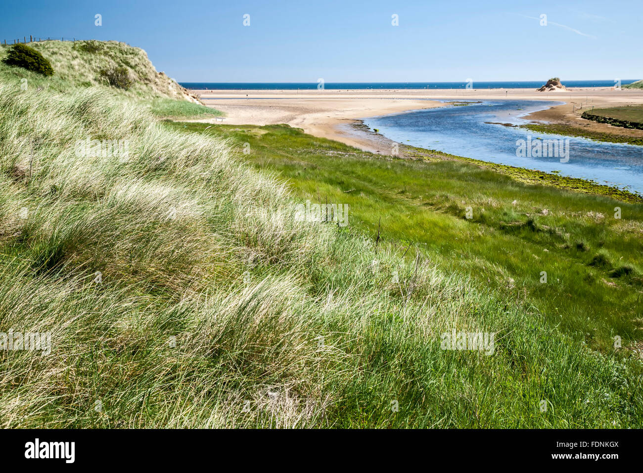 Céspedes, arroyo y Mar del Norte, la ruta de la costa de Northumberland, England, Reino Unido Foto de stock