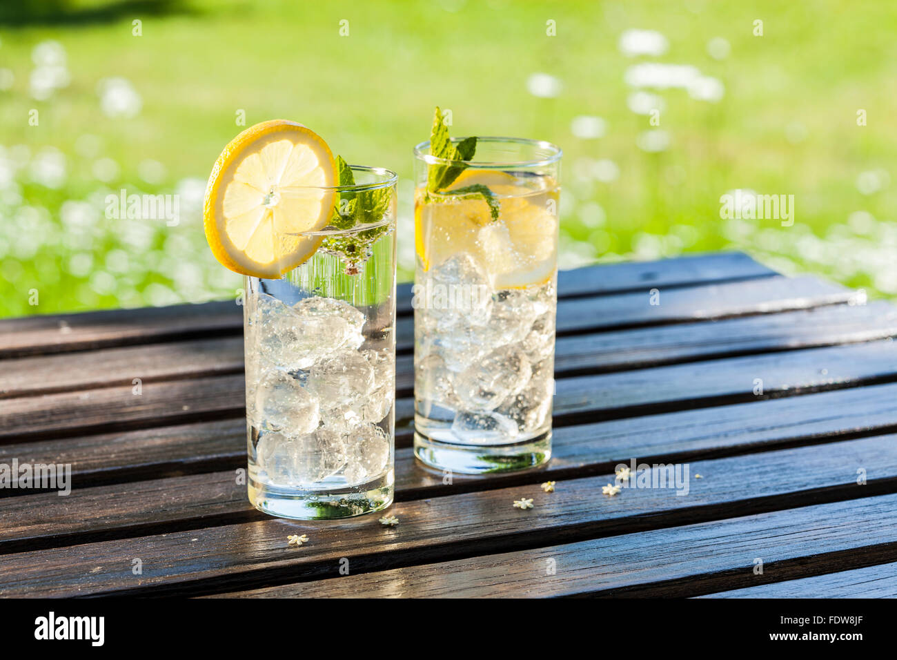 Beber agua fría o hielo limonada en el jardín de verano Foto de stock