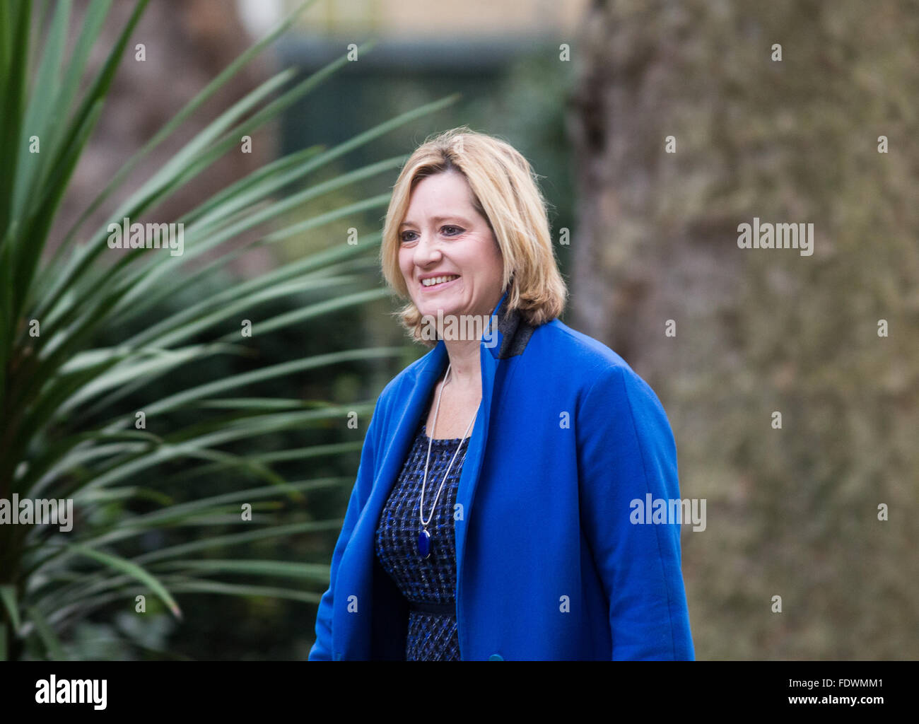Amber Rudd, Secretario de Estado de Energía y Cambio Climático, en el número 10 de Downing Street para una reunión del gabinete Foto de stock
