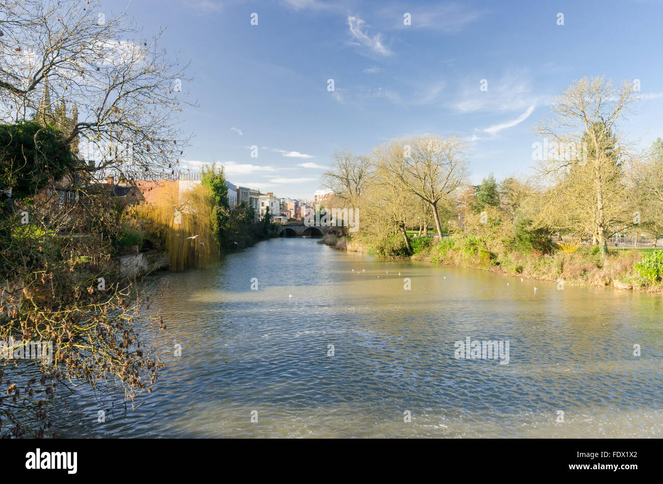 Río Leam fluyendo a través de Jephson jardines en Leamington Spa Foto de stock