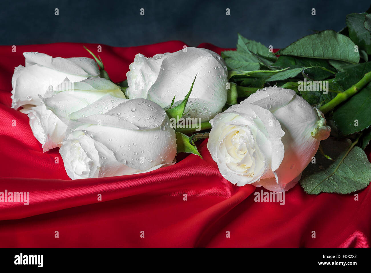 Белые розы на шелке. Белые розы лежат. Красная роза на белом шелке. Две лежащие розы