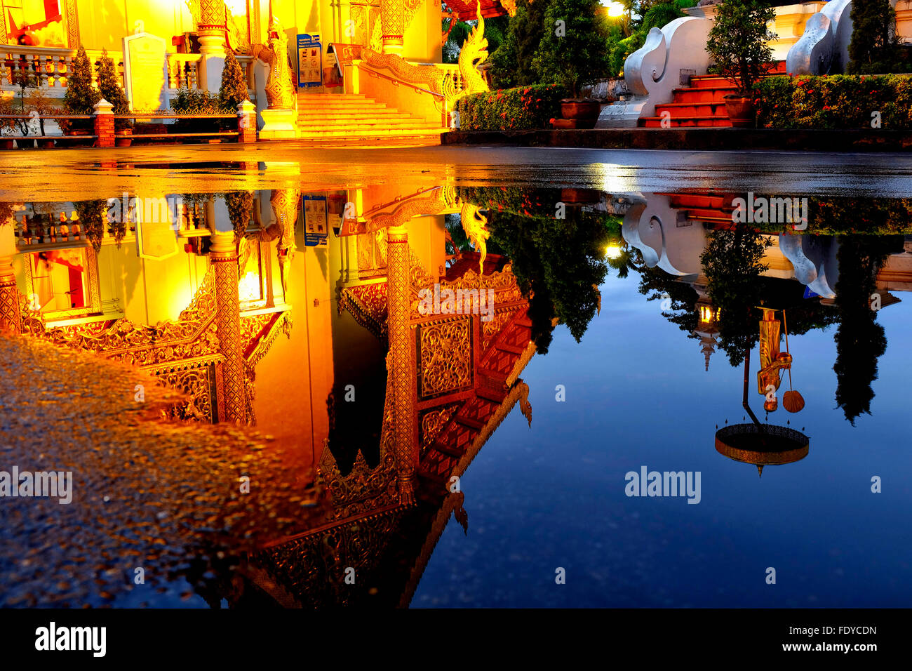 Reflejo de la Wihan Luang de Wat Phra Singh en el agua de un charco, Chiang Mai, Tailandia Foto de stock