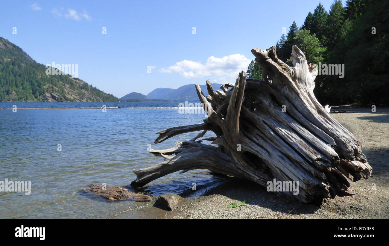 Lago Cowichan en Vancouver Island Foto de stock
