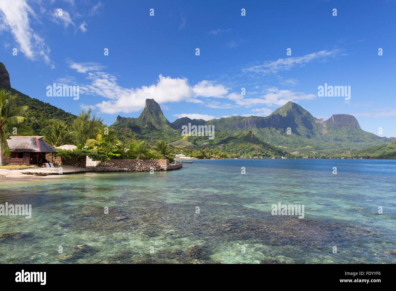 La Bahía de Cook, Mo'orea, Islas Sociedad, Polinesia Francesa Foto de stock