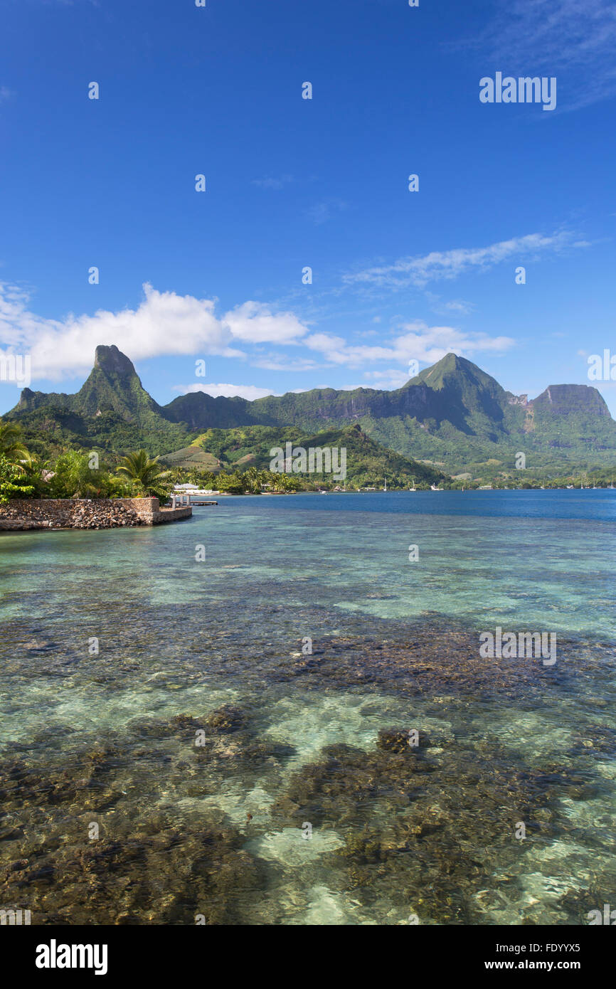 La Bahía de Cook, Mo'orea, Islas Sociedad, Polinesia Francesa Foto de stock