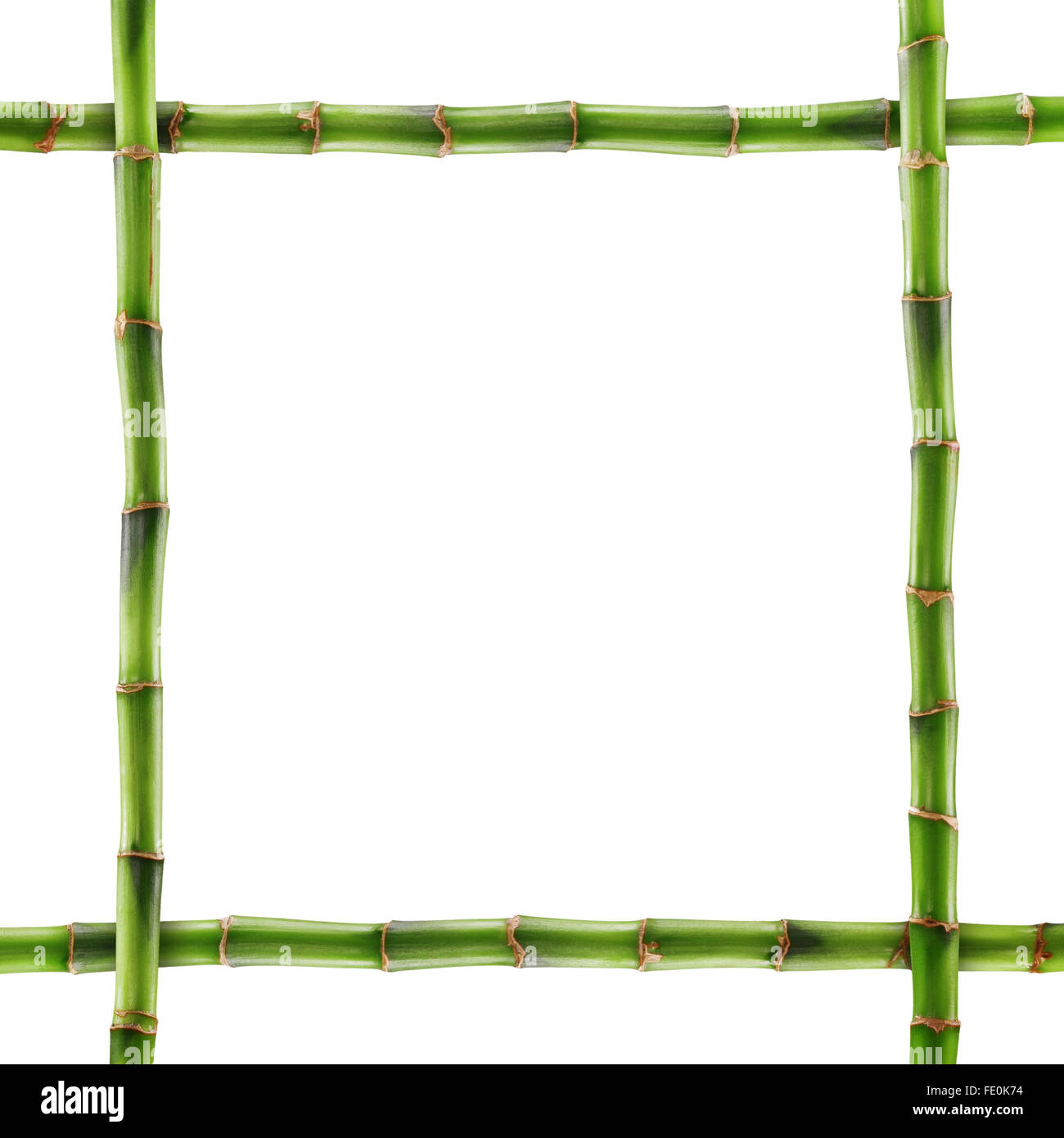Bambú fresco aislado sobre fondo blanco. Trazado de recorte Foto de stock