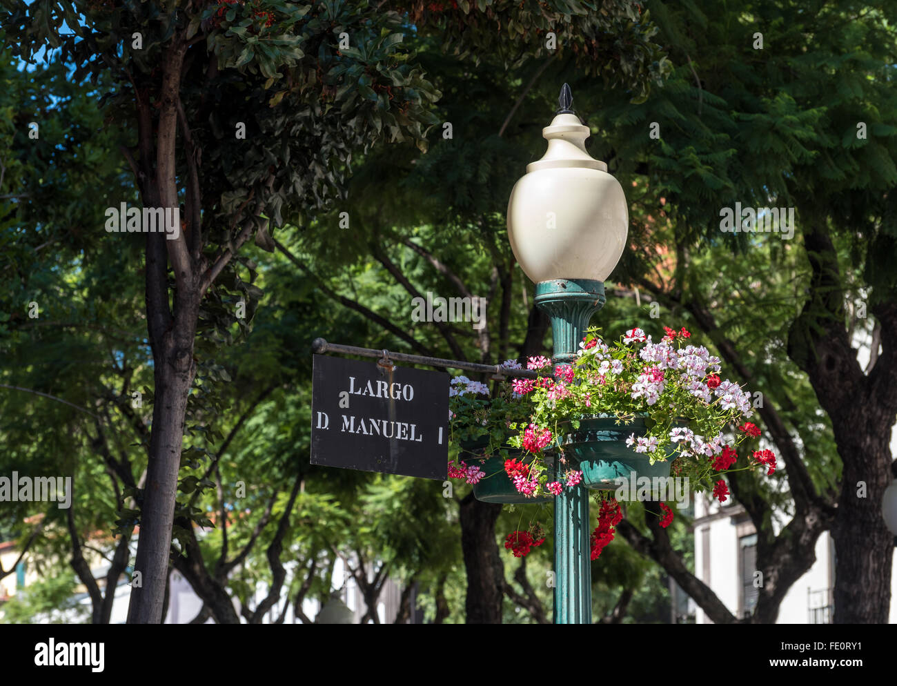 Farola decorativa y canasta de flores en Funchal, Madeira Foto de stock