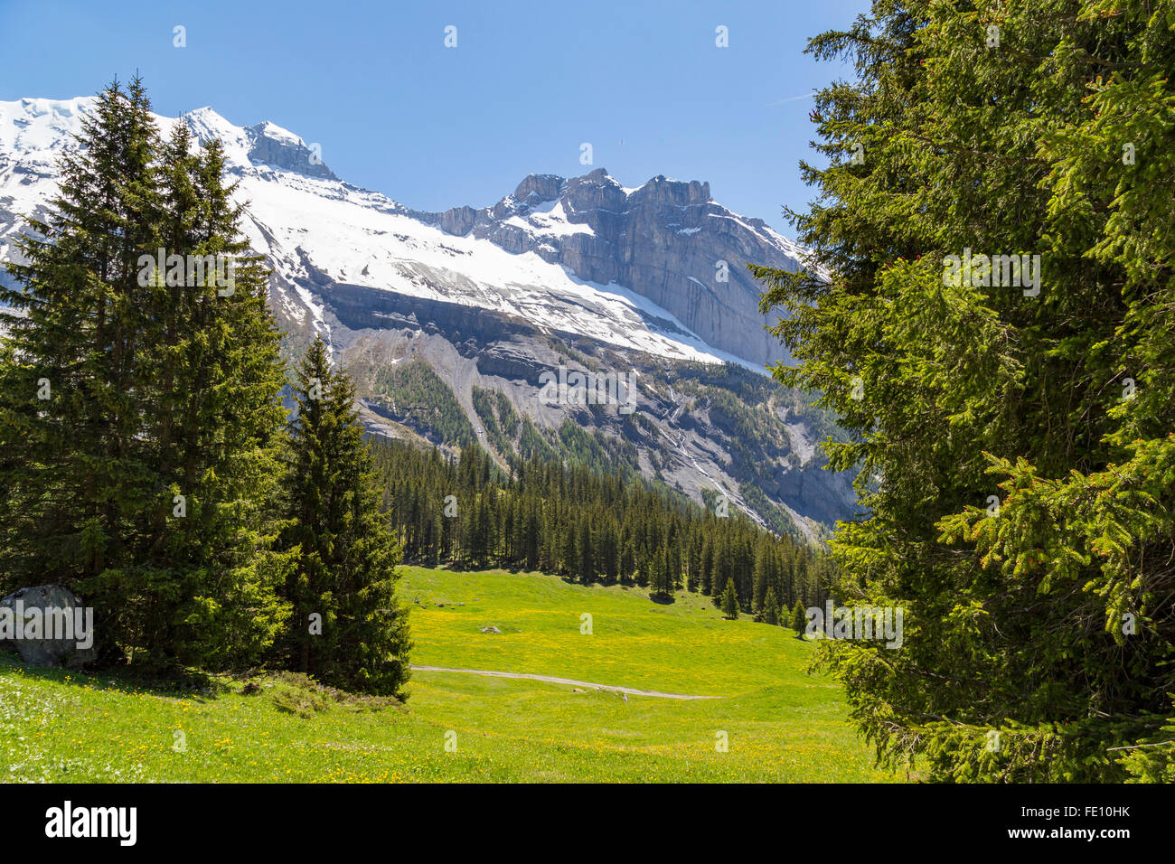 Increíbles vistas de los Alpes Suizos y los prados cerca de Oeschinensee (Oeschinen Lake), en el Oberland bernés en Suiza Foto de stock