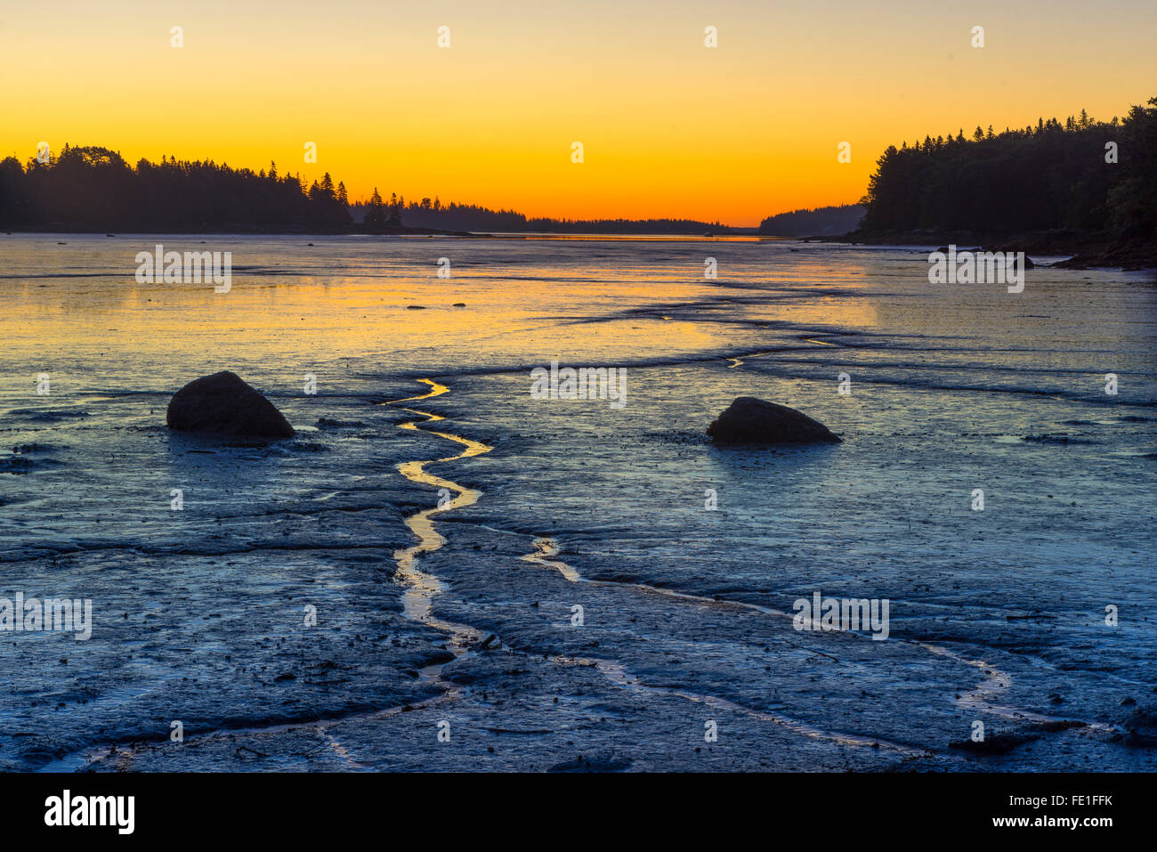 Isla venados, Maine: reflexiones antes del amanecer el color marea estampadas pisos de un ciervo Isle cove Foto de stock