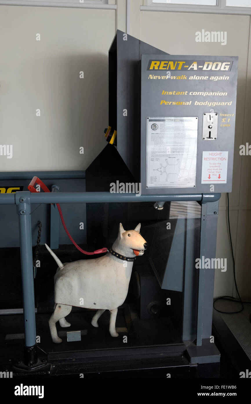 Littlest Pet Shop perro y gato sentado en monedas Fotografía de stock -  Alamy