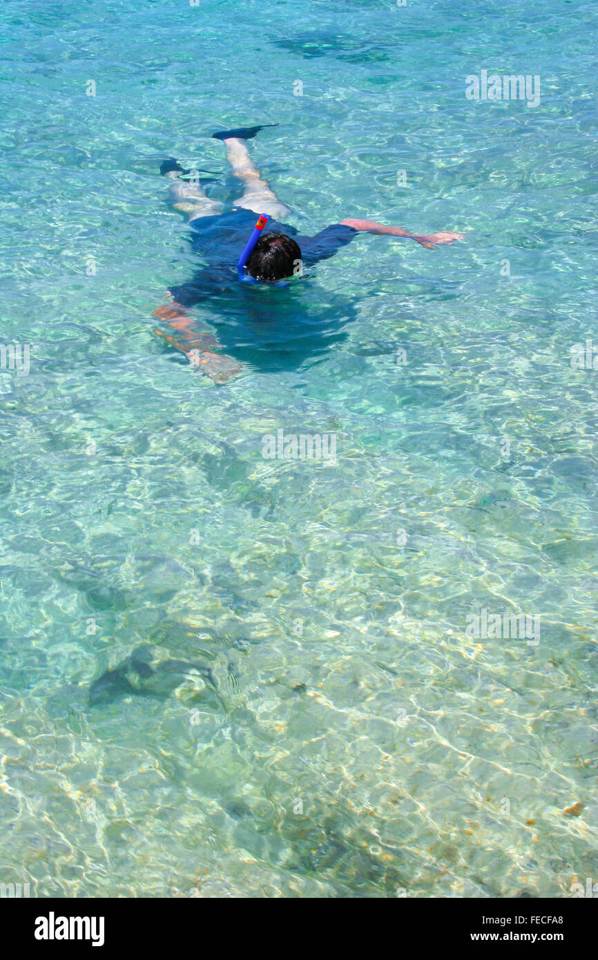 Persona esnórquel en agua clara Foto de stock