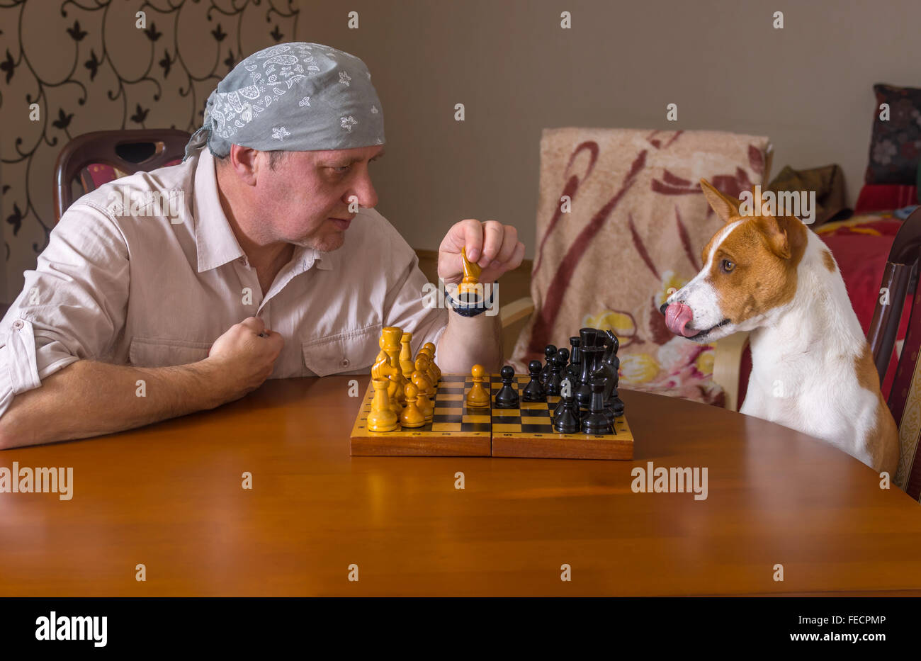 Perro joven y hombre maduro, jugando al ajedrez en un torneo familiar Foto de stock