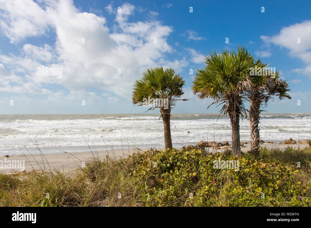 El mar embravecido en el Golfo de México, en Caspersen Beach Florida en Venecia. Foto de stock
