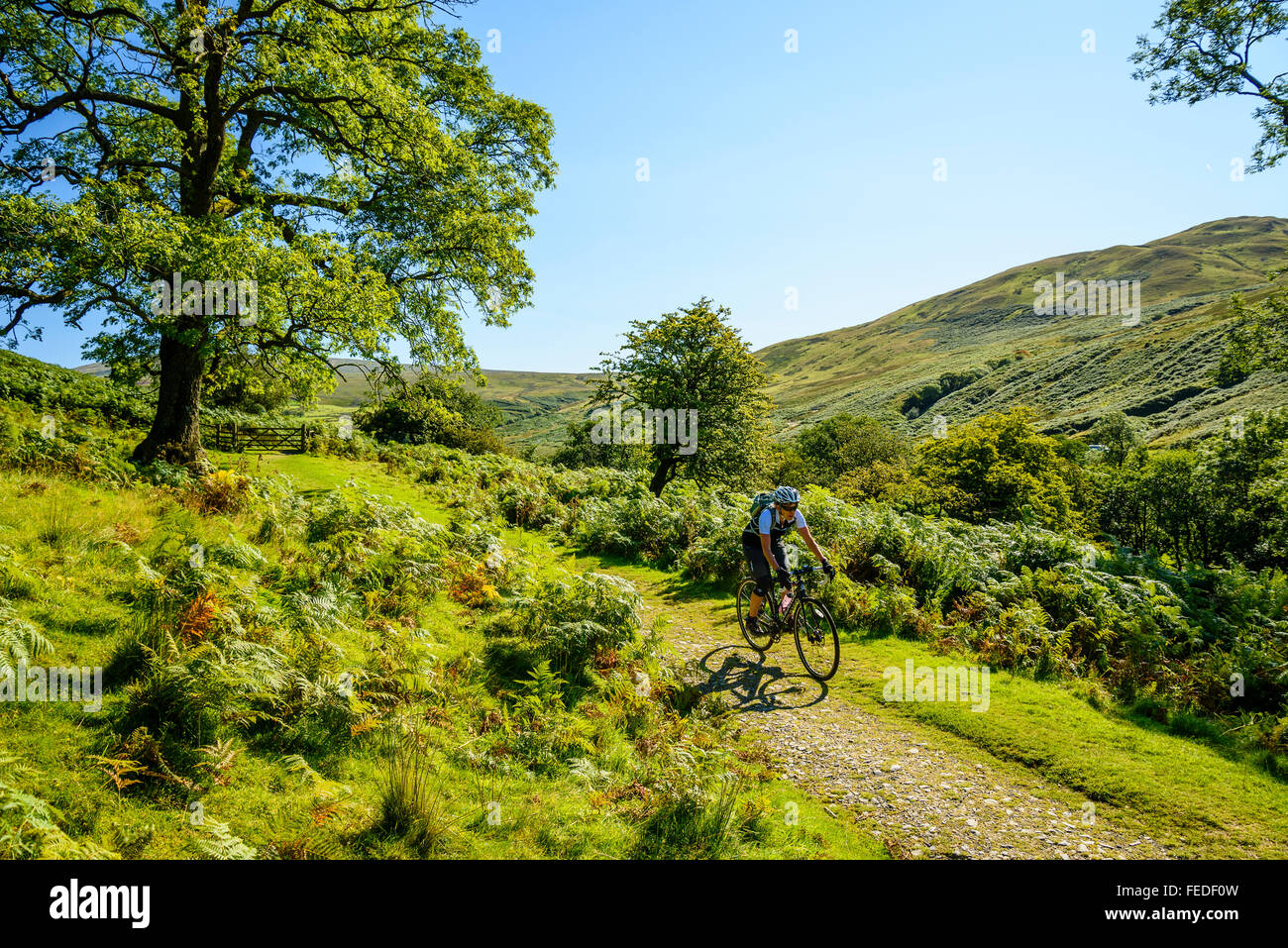 Ciclista femenino en pista de hierba en Cumbria Barbondale Foto de stock