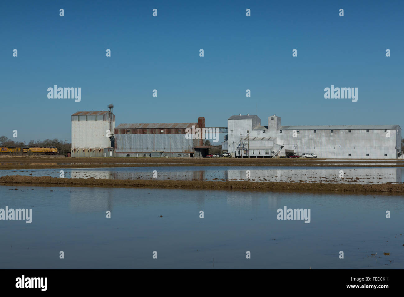 Tribu coushatta fotografías e imágenes de alta resolución Alamy