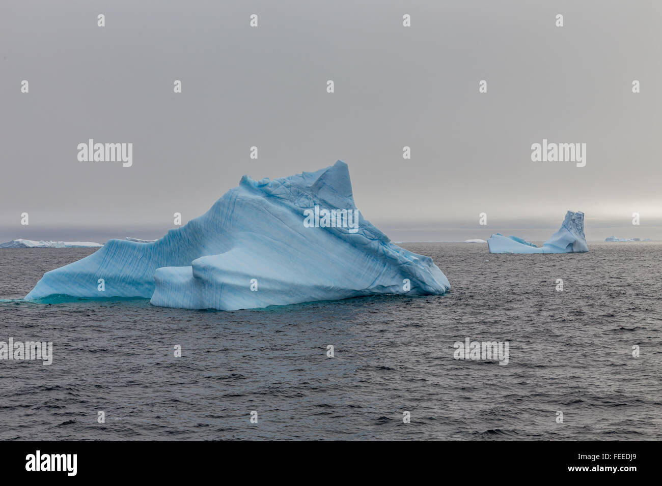 Blue antártida témpanos que flotan a través Canal Lemaire, la Antártida Foto de stock