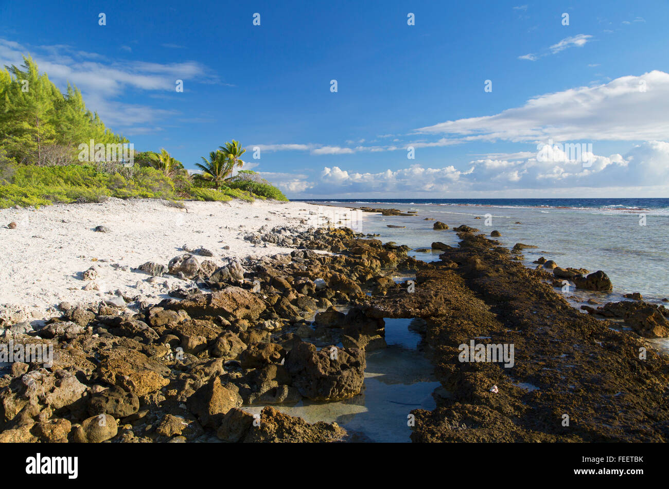 En la playa, las Islas Tuamotu Fakarava, Polinesia Francesa Foto de stock