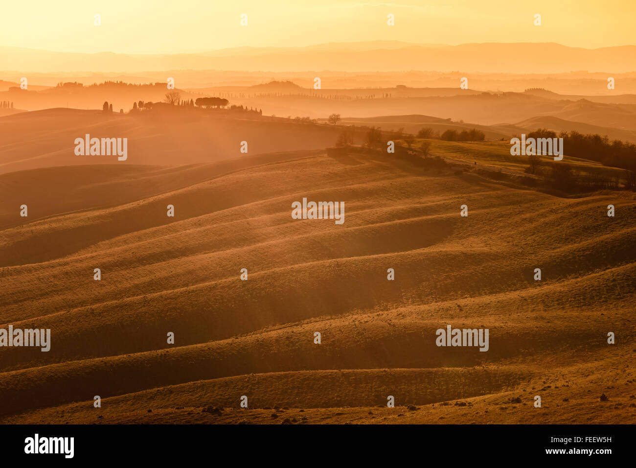 Colinas de la Toscana, a la puesta del sol. Crete Senesi paisaje rural y la luz solar. Campos Verdes, una granja con árboles. Siena, Italia Foto de stock
