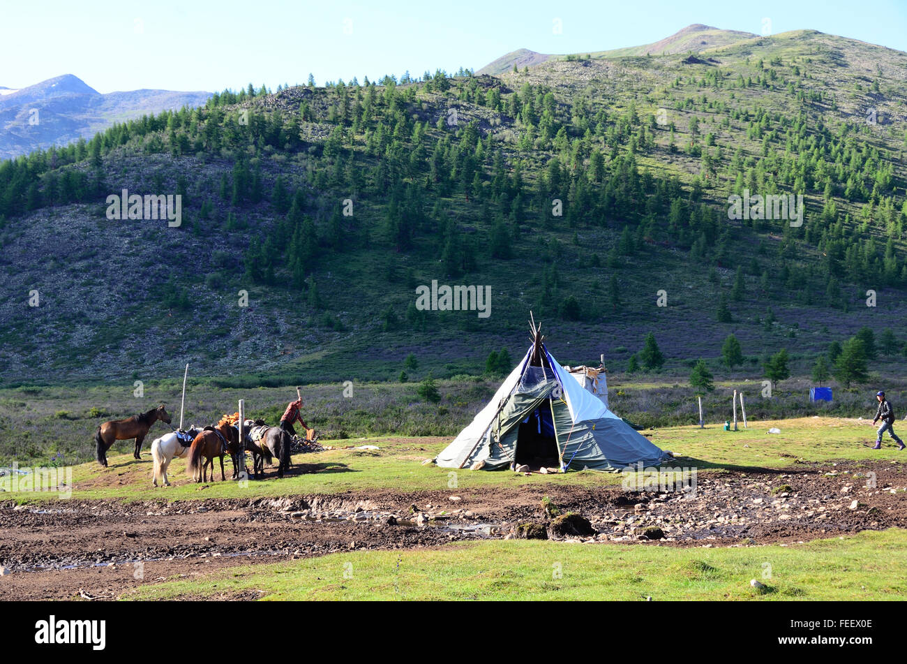 Duhkha (igual que Tsaatan) campamento de verano Foto de stock