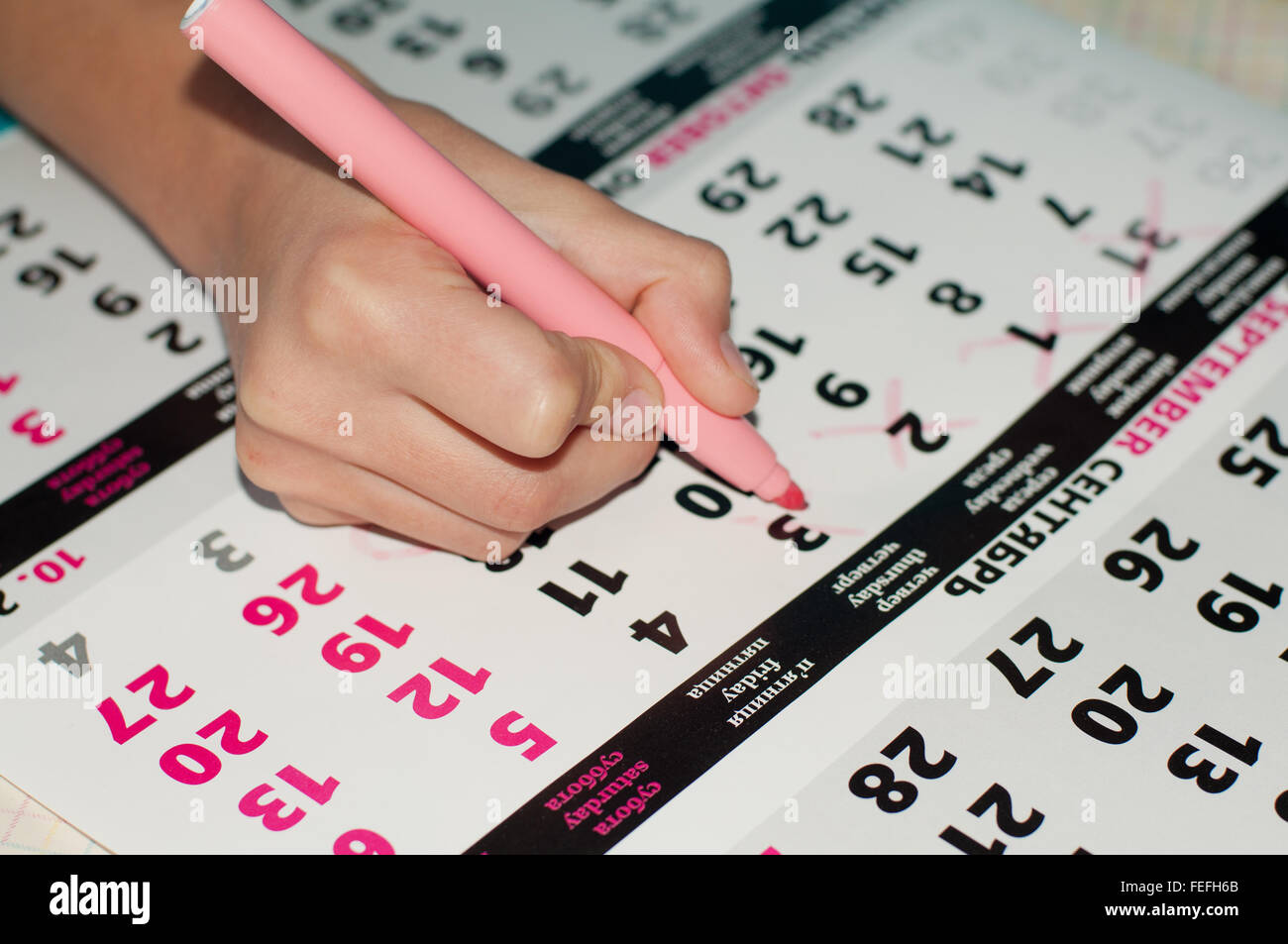 La foto de calendario con un dato marcado por kid's mano con un marcador de color rosa, el concepto de la gestión del tiempo en el trabajo Foto de stock