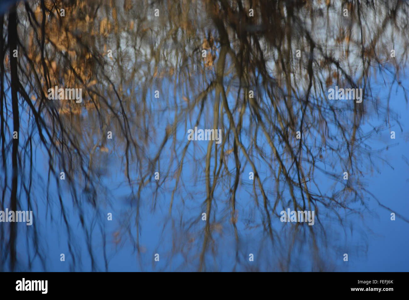 Reflejo en un charco Foto de stock