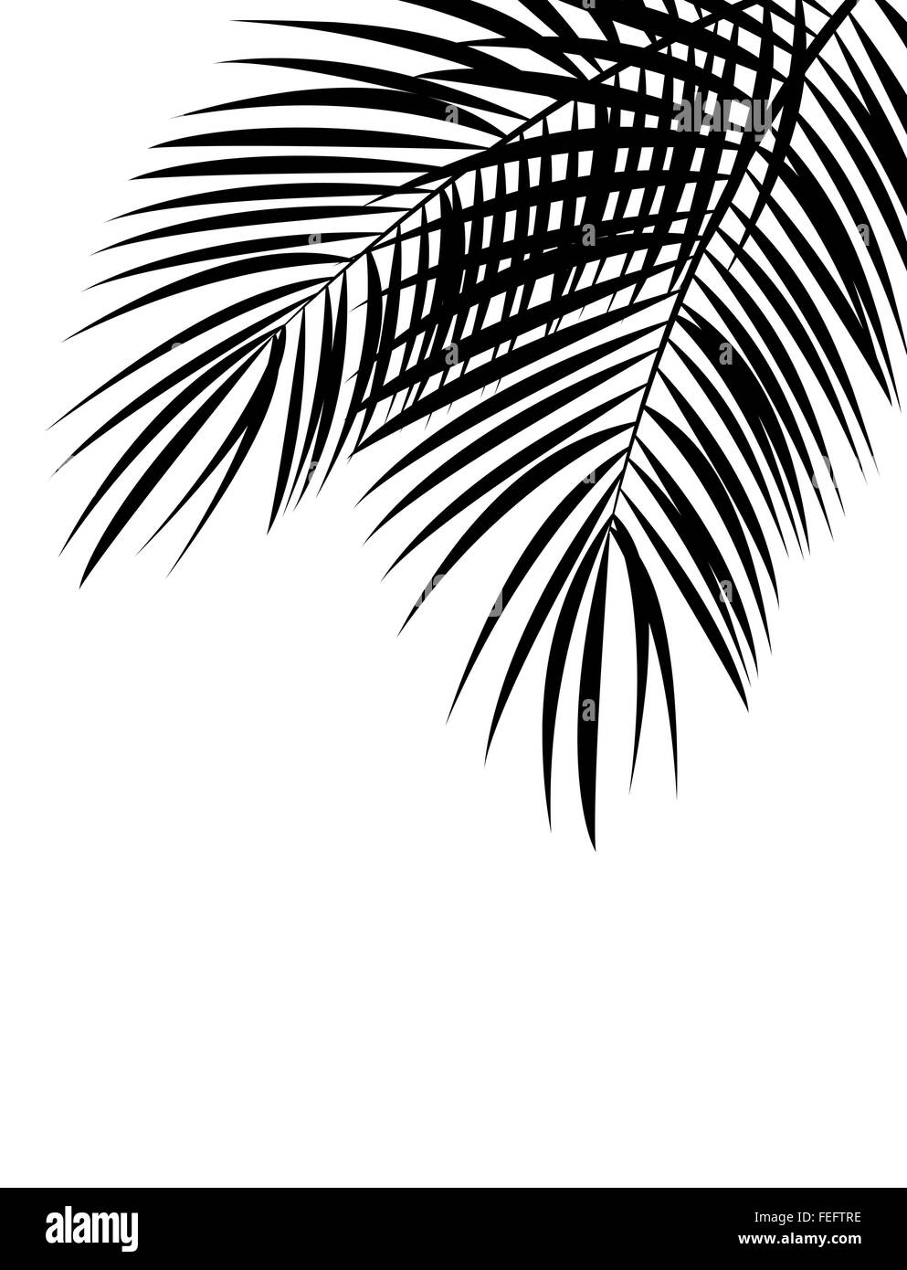 Hoja de palmera Vector ilustración de fondo Imagen Vector de stock - Alamy