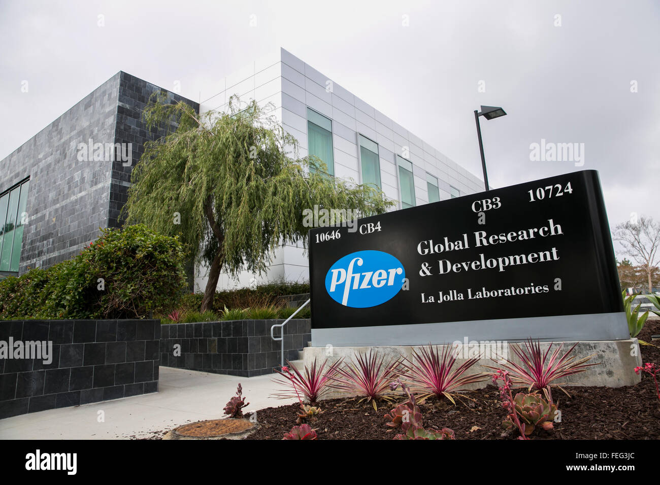Un logotipo cartel fuera de una instalación ocupada por Pfizer Inc., en San Diego, California, el 30 de enero de 2016. Foto de stock