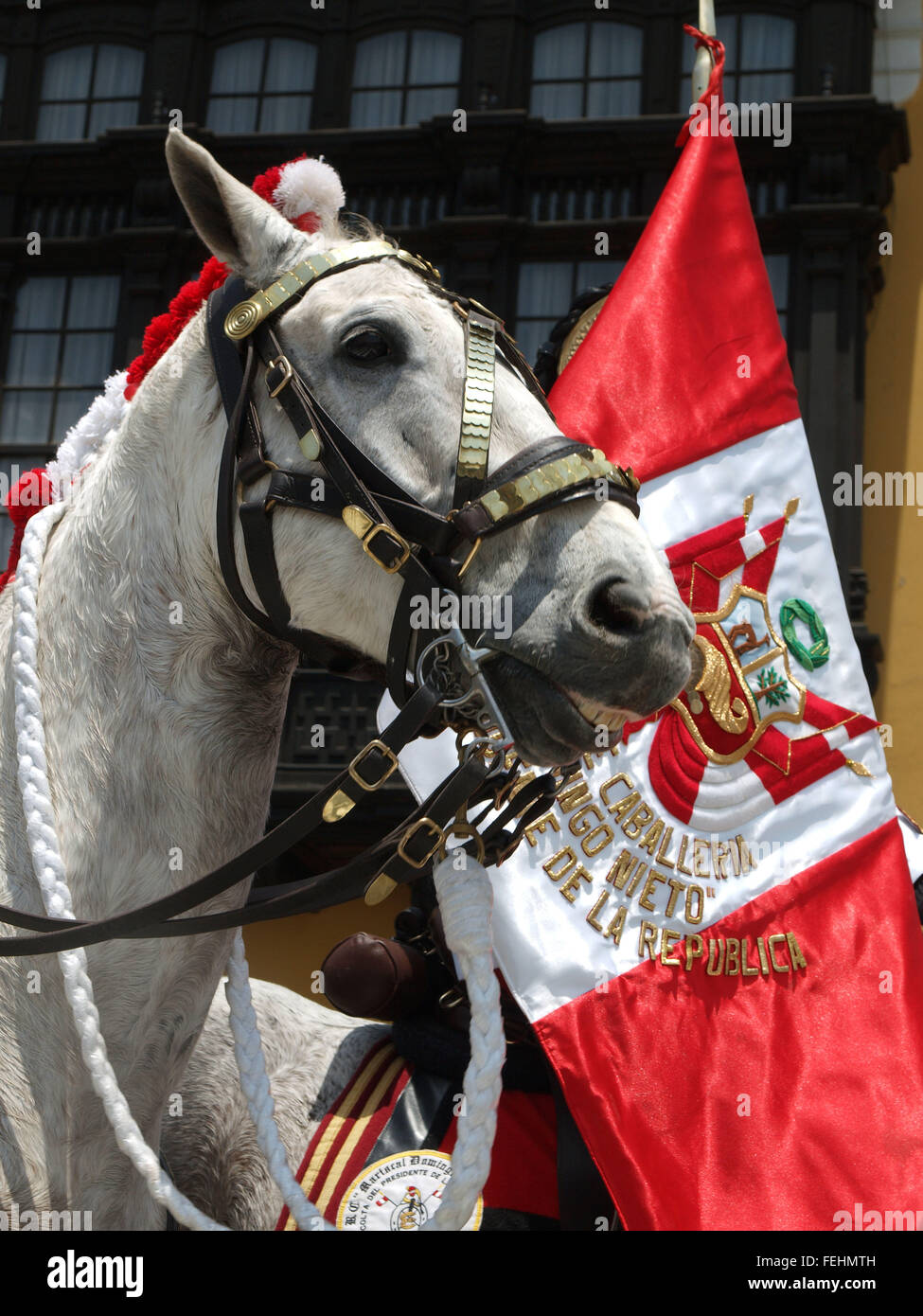 El caballo y el pabellón peruano en fondo Foto de stock