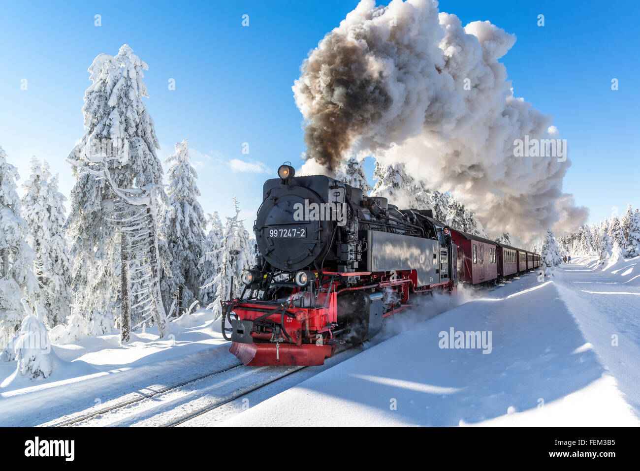 El Brocken ferrocarril, Parque Nacional de Harz, en el Estado federado de Sajonia-Anhalt, Alemania Foto de stock