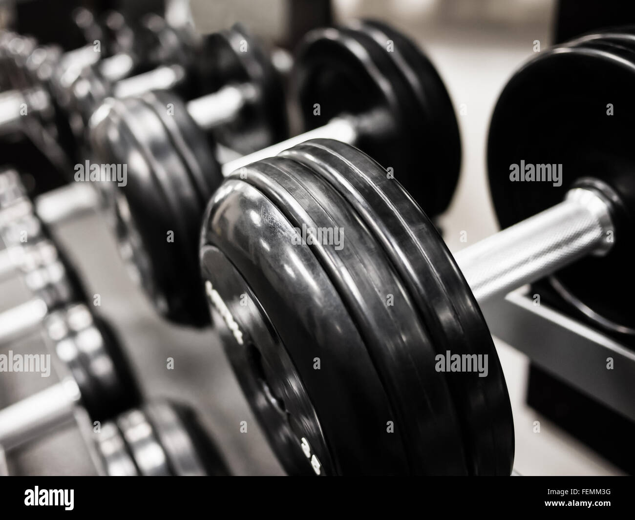 Contrapesos pesa sobre un estante en un health club gimnasio Foto de stock