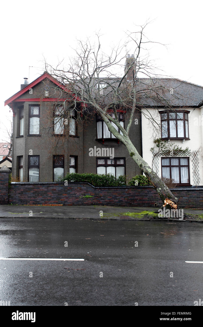 Cardiff, País de Gales, Reino Unido. 08 Feb, 2016. Tormenta Imogen, daños a casa en Waterloo