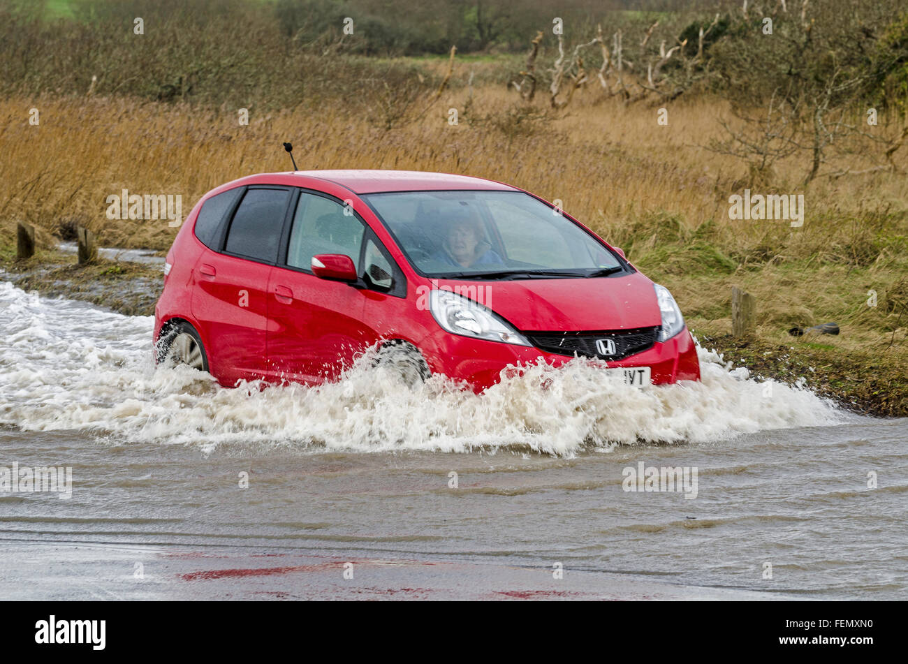 Playa de Lepe, Hampshire, Reino Unido. 08 Feb, 2016. Tormenta Imogen hits costa sur alquiler de buceo en camino inundado en la costa sur de crédito: Howard west/Alamy Live News Foto de stock