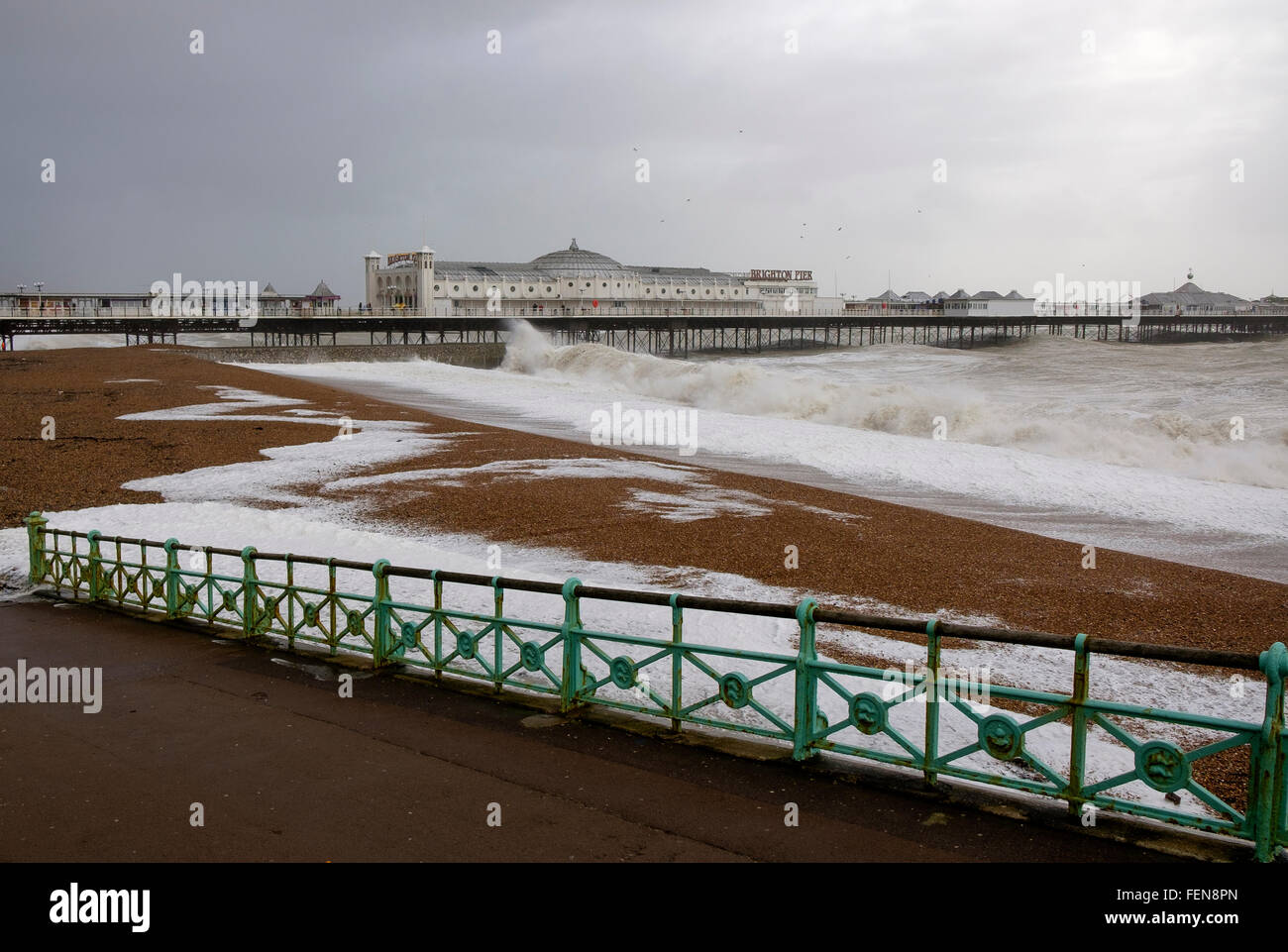 Brighton, Reino Unido. El 8 de febrero de 2016. Con ráfagas de hasta 60 mph, Imogen tormenta golpeó Brighton y Hove, en la costa sur de Inglaterra. El viento y las olas altas llamó a la gente a la playa para disfrutar de los elementos. Crédito: Scott Hortop/Alamy Live News Foto de stock