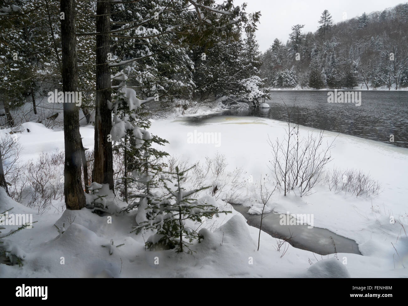 River en el bosque con nieve Foto de stock