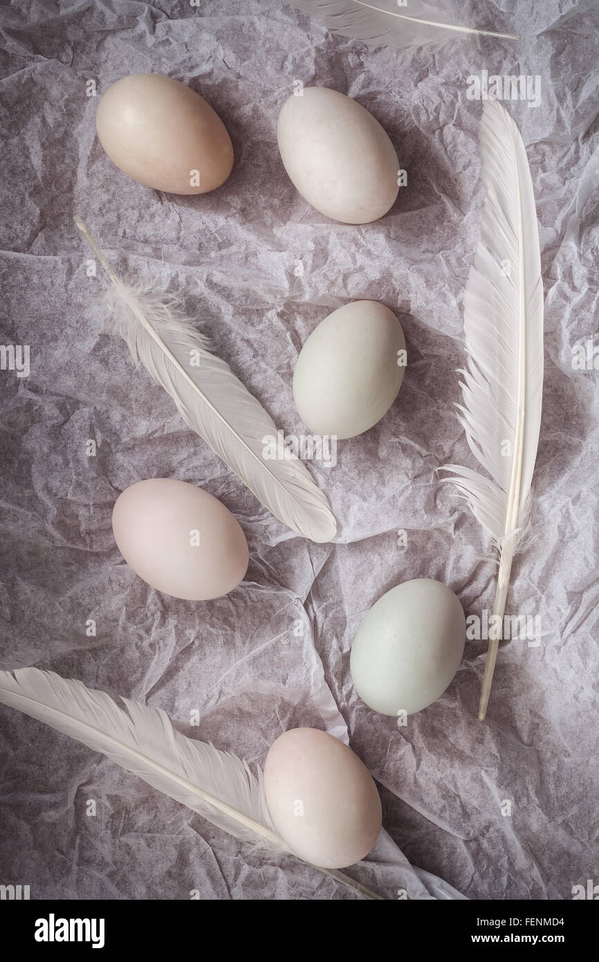 Los huevos de pato laicos plana bodegón con comida fresca cruda