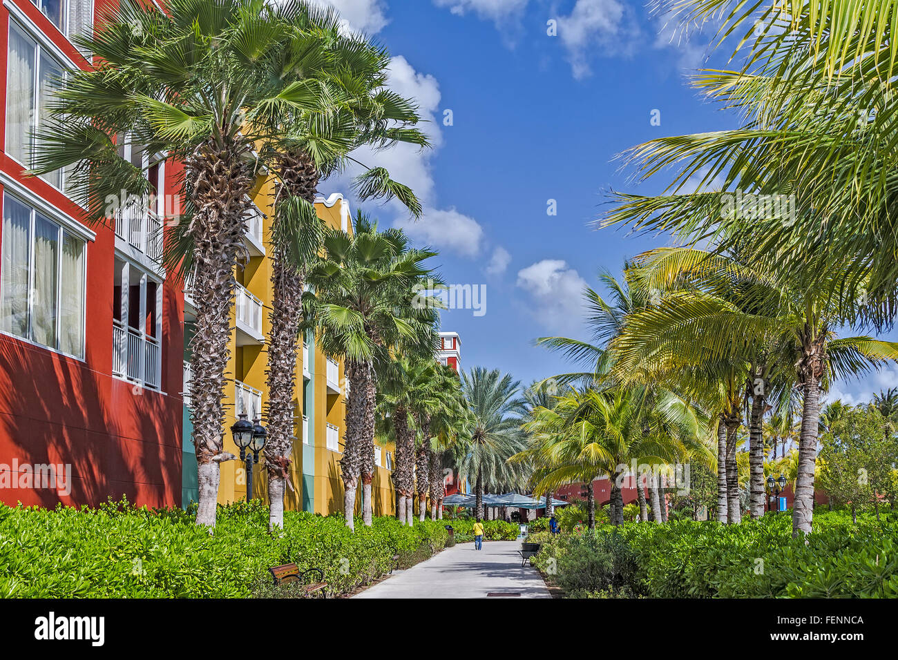 Avenida De palmeras Willemstad, Curacao Foto de stock