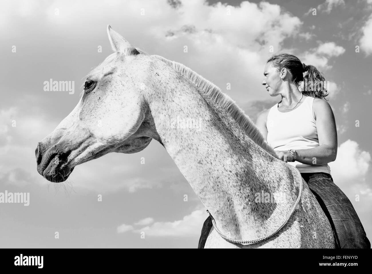 B&W retrato de mujer que monta a caballo gris contra el cielo Foto de stock