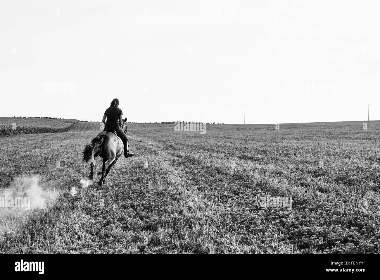 B&W imagen de la mujer que monta a caballo galopante en el campo Foto de stock