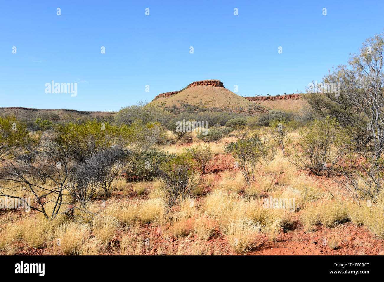 Bush cerca de Alice Springs, el Territorio del Norte, Australia Foto de stock