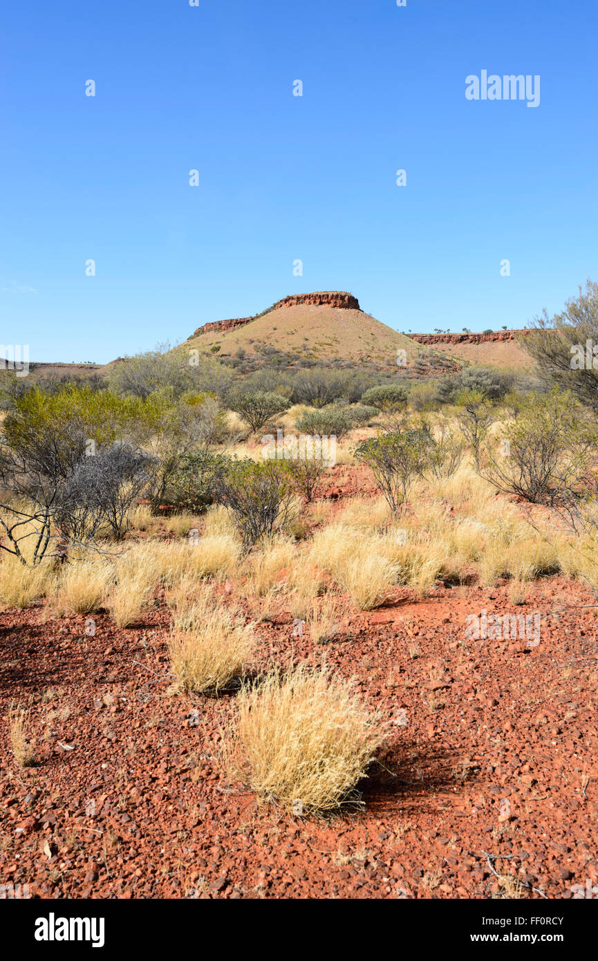 Bush cerca de Alice Springs, el Territorio del Norte, Australia Foto de stock