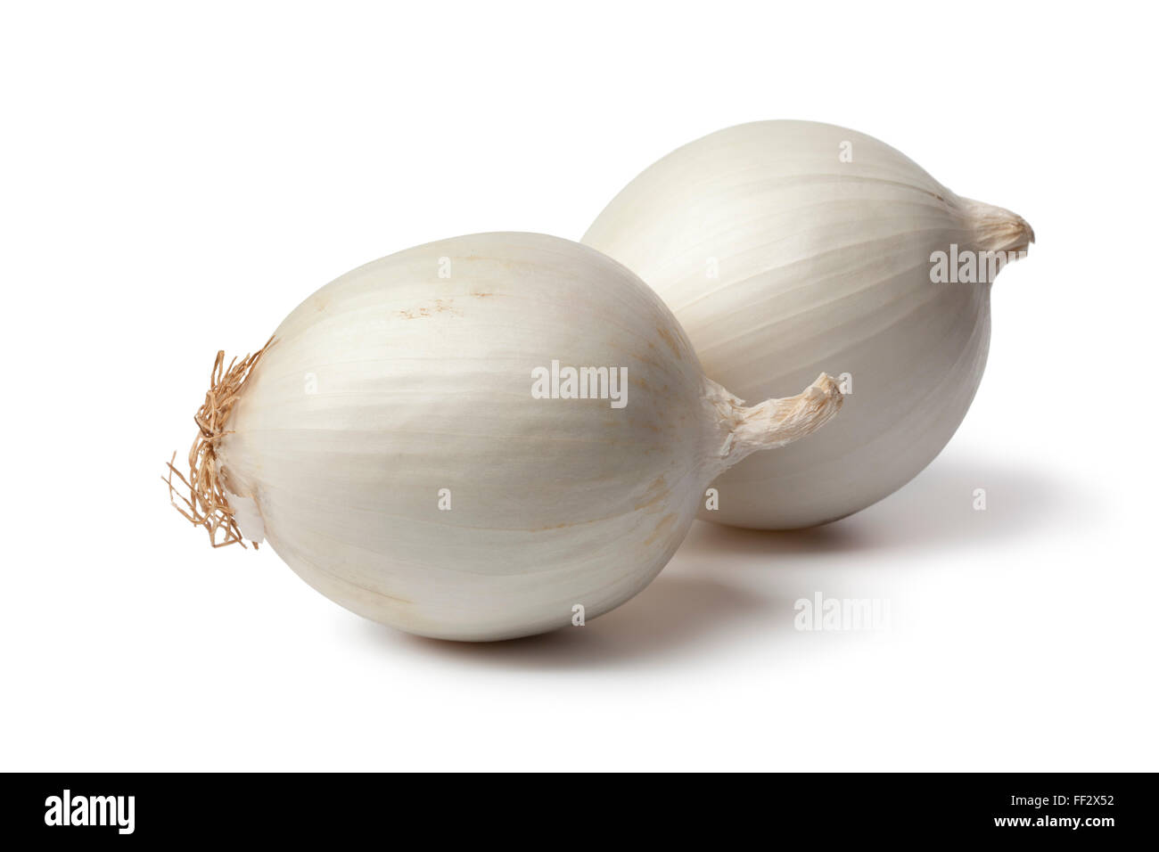 Cebolla blanca fresca entera Foto de stock
