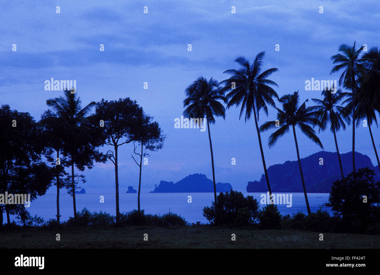 THA, Tailandia, las palmeras en la playa de Krabi. THA, Tailandia, Palmen am Strand von Krabi. Foto de stock