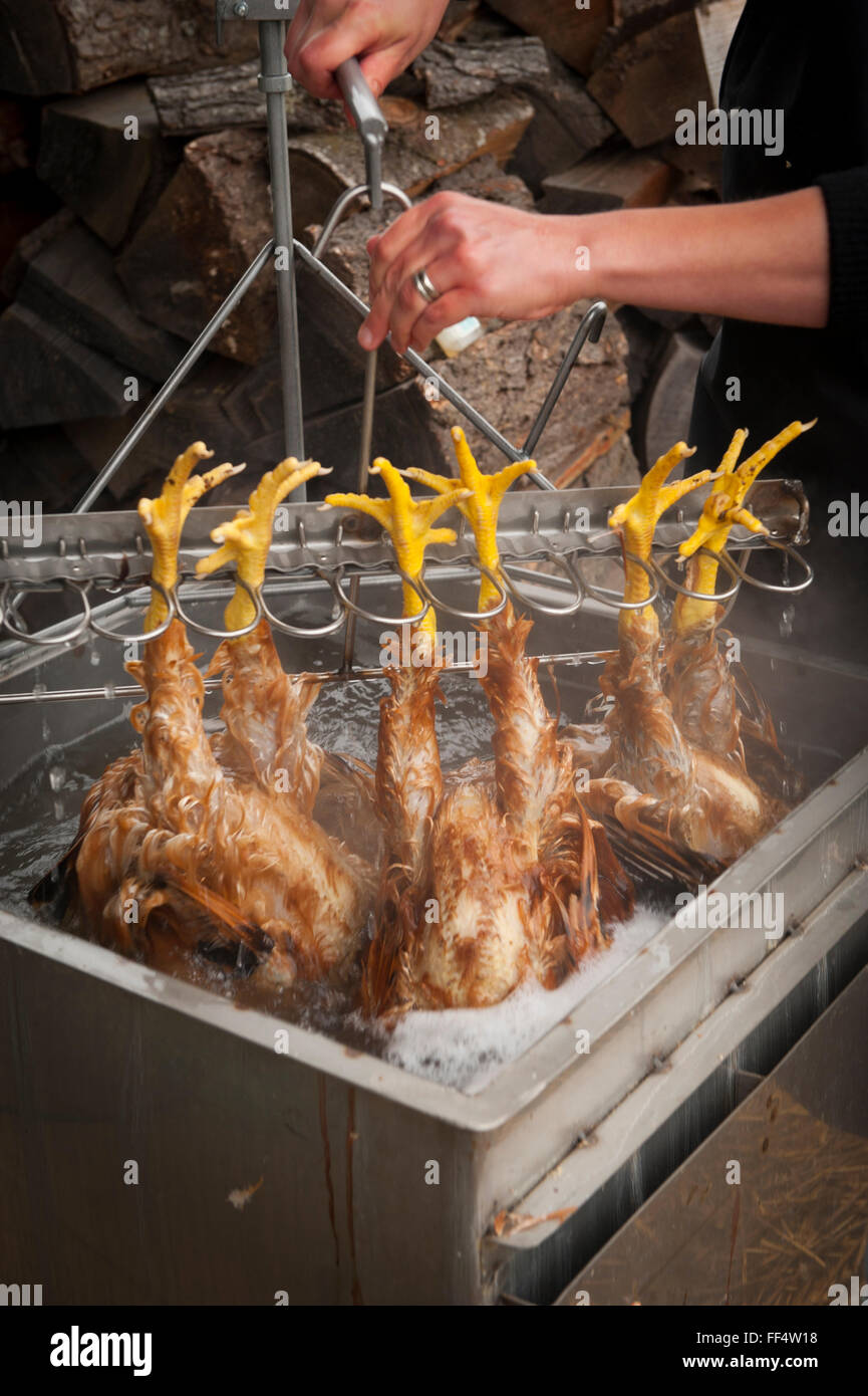 Procesar el pollo con la mano en una pequeña granja orgánica familiar en el estado de Washington Foto de stock