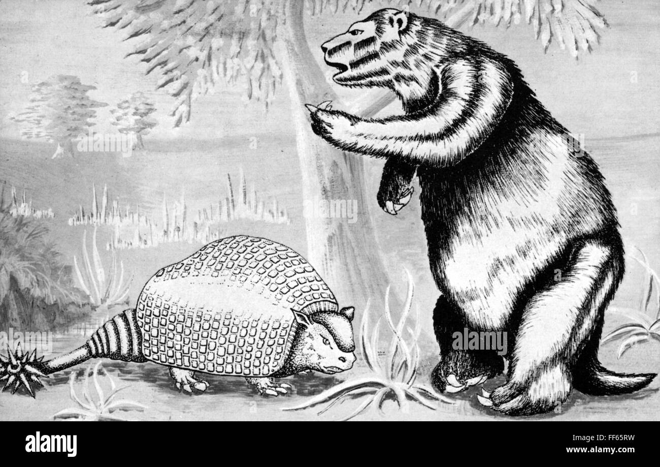 Gliptodonte y pereza. /NGlyptodont, a la izquierda, y Ground Sloth (Megatherium), a la derecha. Ilustración, siglo XX. Foto de stock