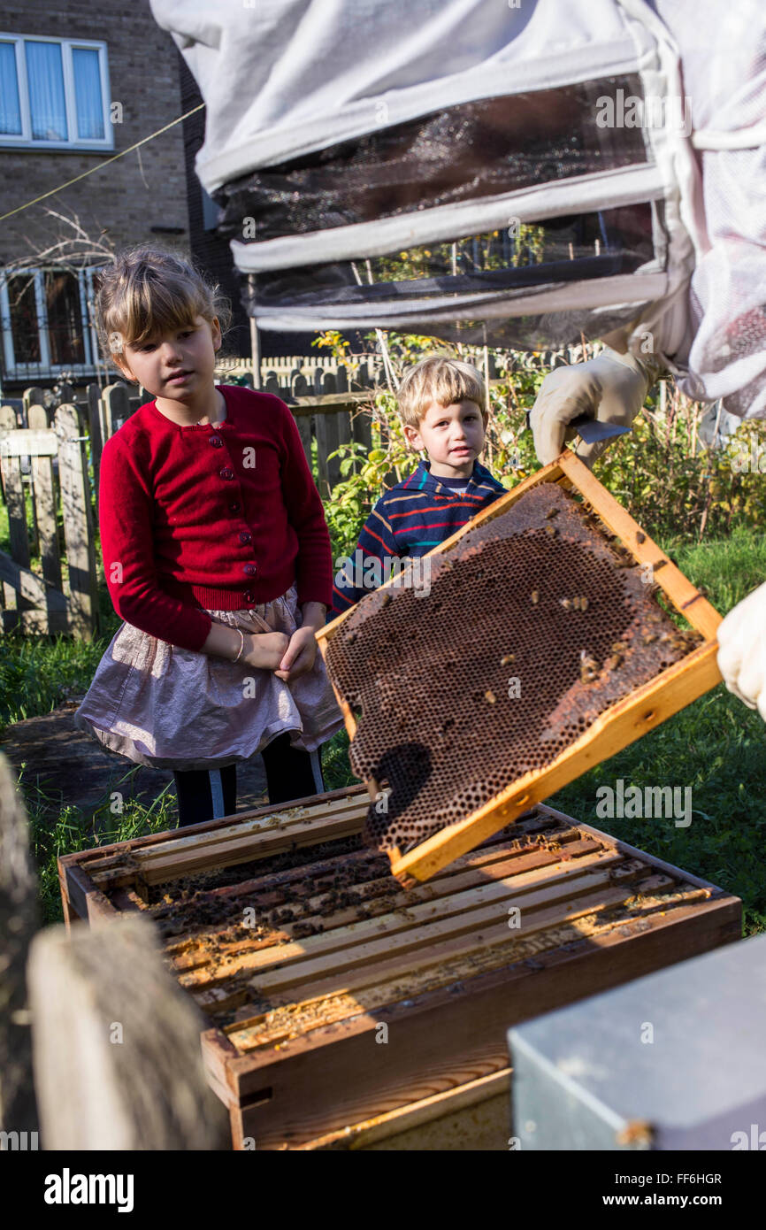Los niños viendo la abeja keeper inspeccione los marcos de miel de las colmenas de abejas. La apicultura urbana, proyecto de jardín comunitario, George Downing Estate, Hackney, Este de Londres. Foto de stock