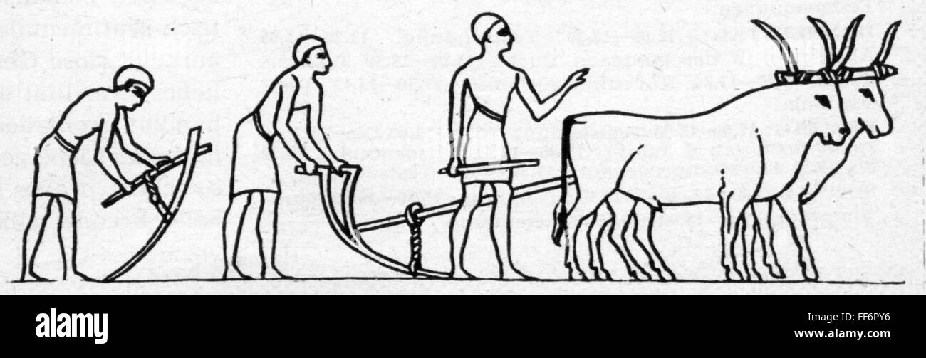 Agricultura,trabajos agrícolas,arar,trabajar en el suelo con azadas y  arados,después de relieve,Egipto,circa 2000 BC,grabado de madera,siglo  XIX,arar,arar,gente,hombre,hombre,Reino Medio de Egipto,agricultores, agricultores,prehistoria,tiempos 