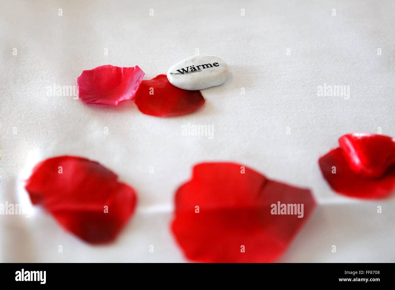 En alemán la palabra calidez escrito en piedra con pétalos de rosa roja Foto de stock