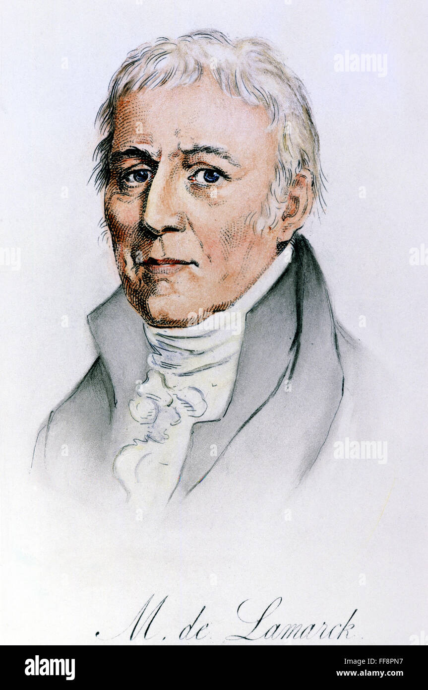 CHEVALIER DE LAMARCK /n(17441829). Jean Baptiste Lamarck. Naturalista francés. Aguafuerte